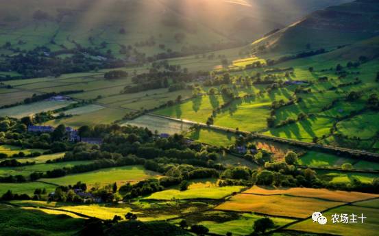 土地流转只是少数人的盛宴，大多数人都亏得惨不忍睹？！