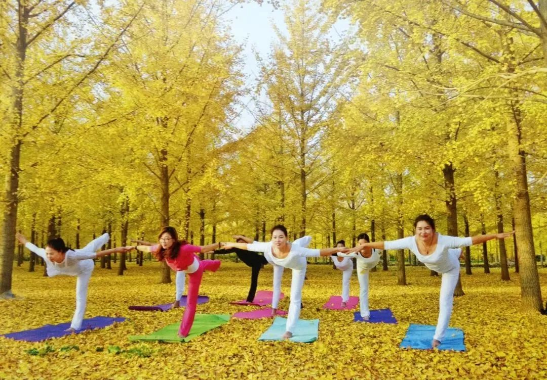 徐州秋景哪个地方最好看,徐州周边赏秋景的地方