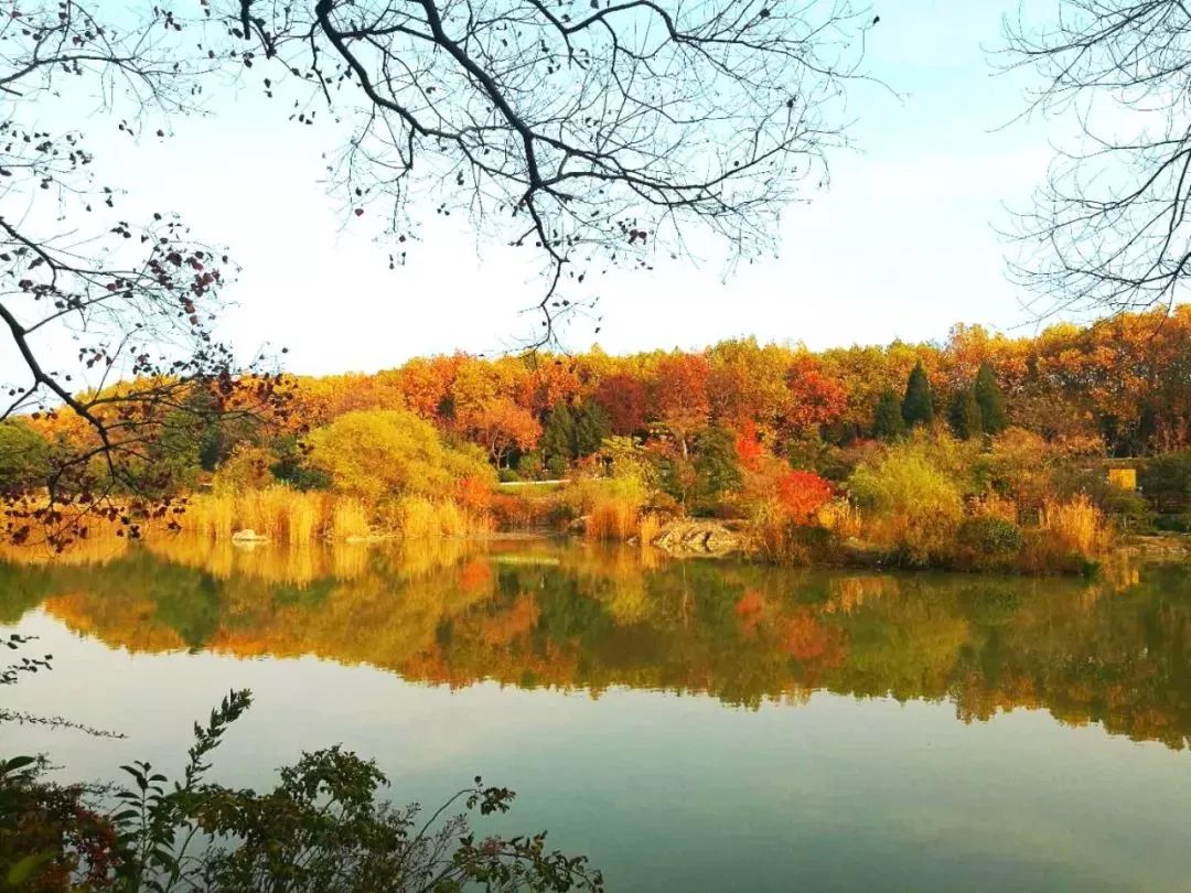 徐州秋景哪个地方最好看,徐州周边赏秋景的地方