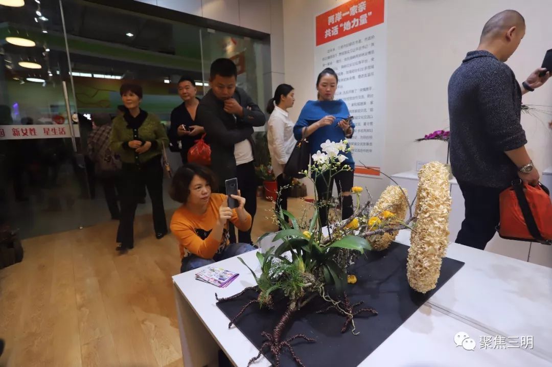 林博会上插花艺术家现场教你插花，还有50多件花艺大师作品亮相！