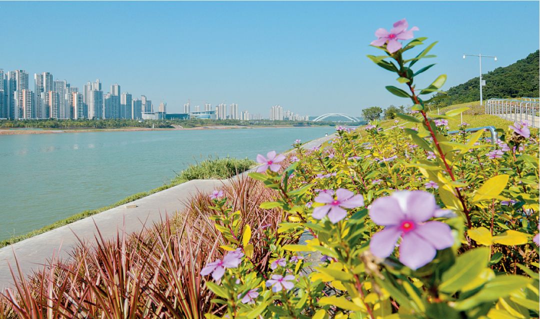 百里秀美邕江南岸绿道,南宁百里潞江美景