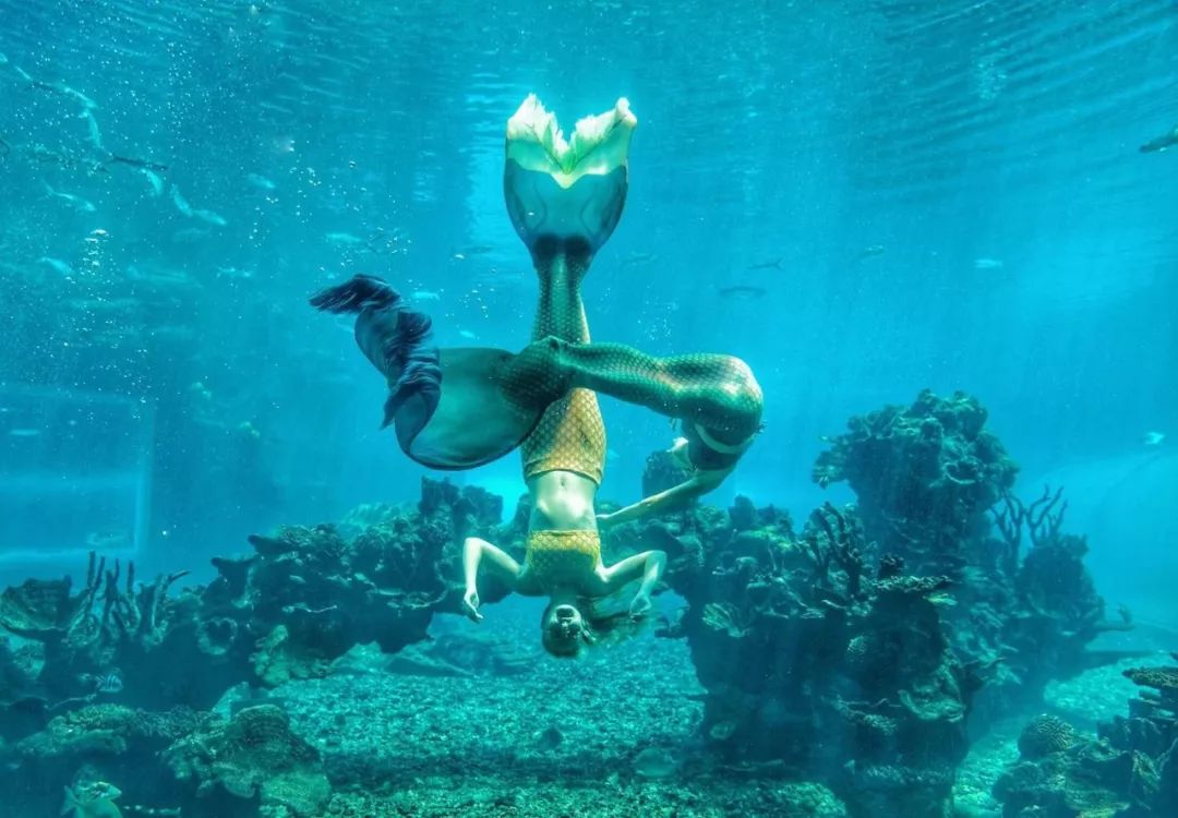 双11种草清单大全,双11种草好物