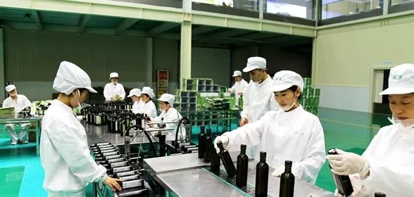 陇南市重点龙头企业,陇南重点企业名单