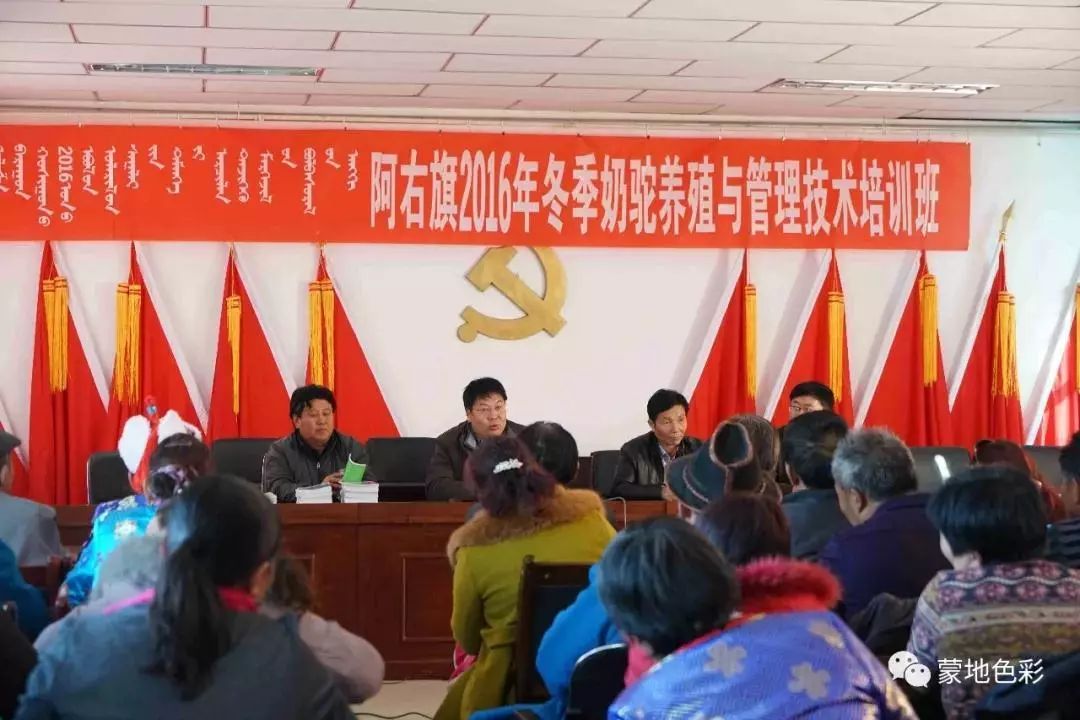 骆驼研究专家吉日木图