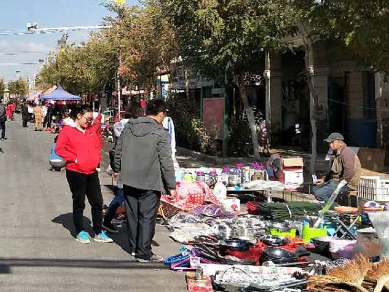 民族团结与乡村振兴融合发展,尉犁县民族团结图