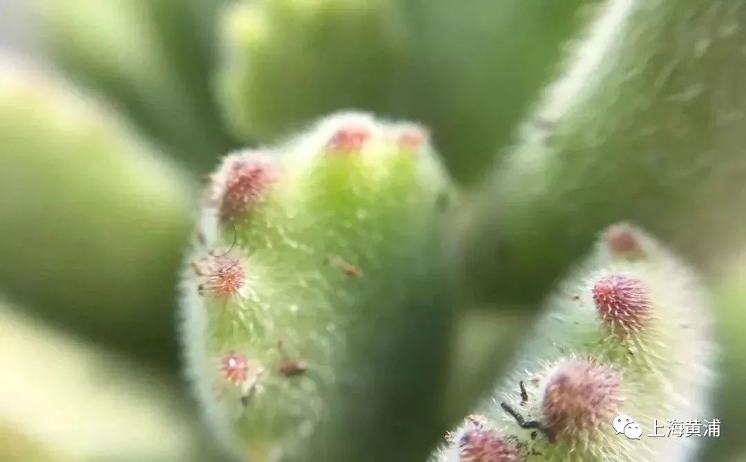 女士应该怎么清洗才能更健康,女性是否要定期清洗