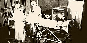 万婴之母林巧稚,万婴之母林巧稚图片