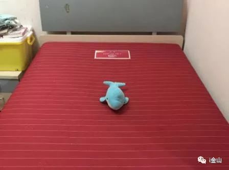 全新Gucci包、电磁炉……这期跳蚤市场有点不一样！