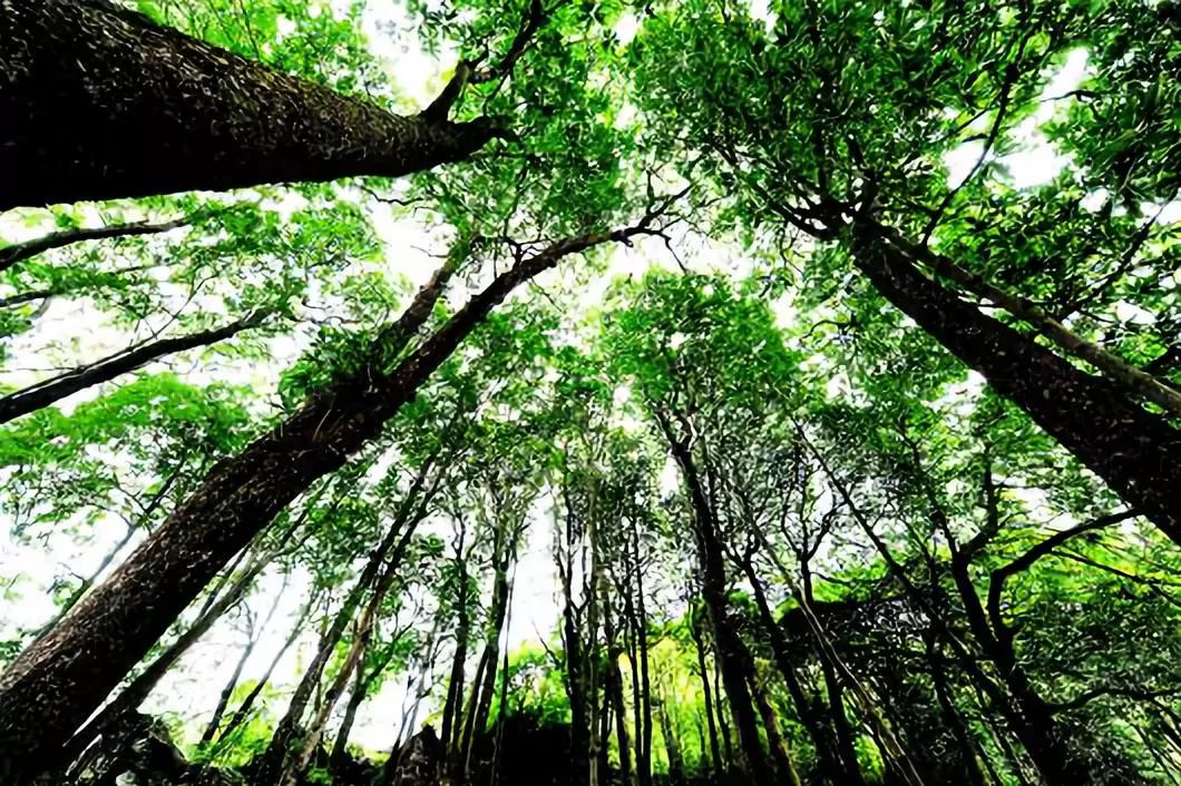 竹溪，又有一个新“名字”！