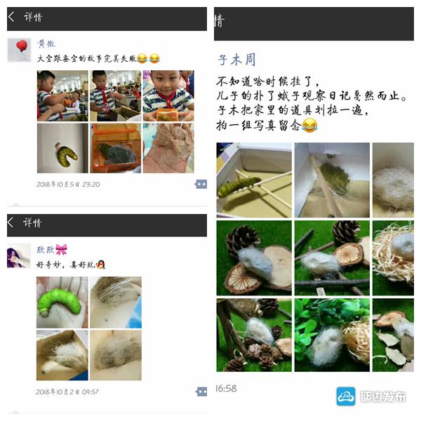 蚕宝成长记绘本,蚕宝成长记二年级