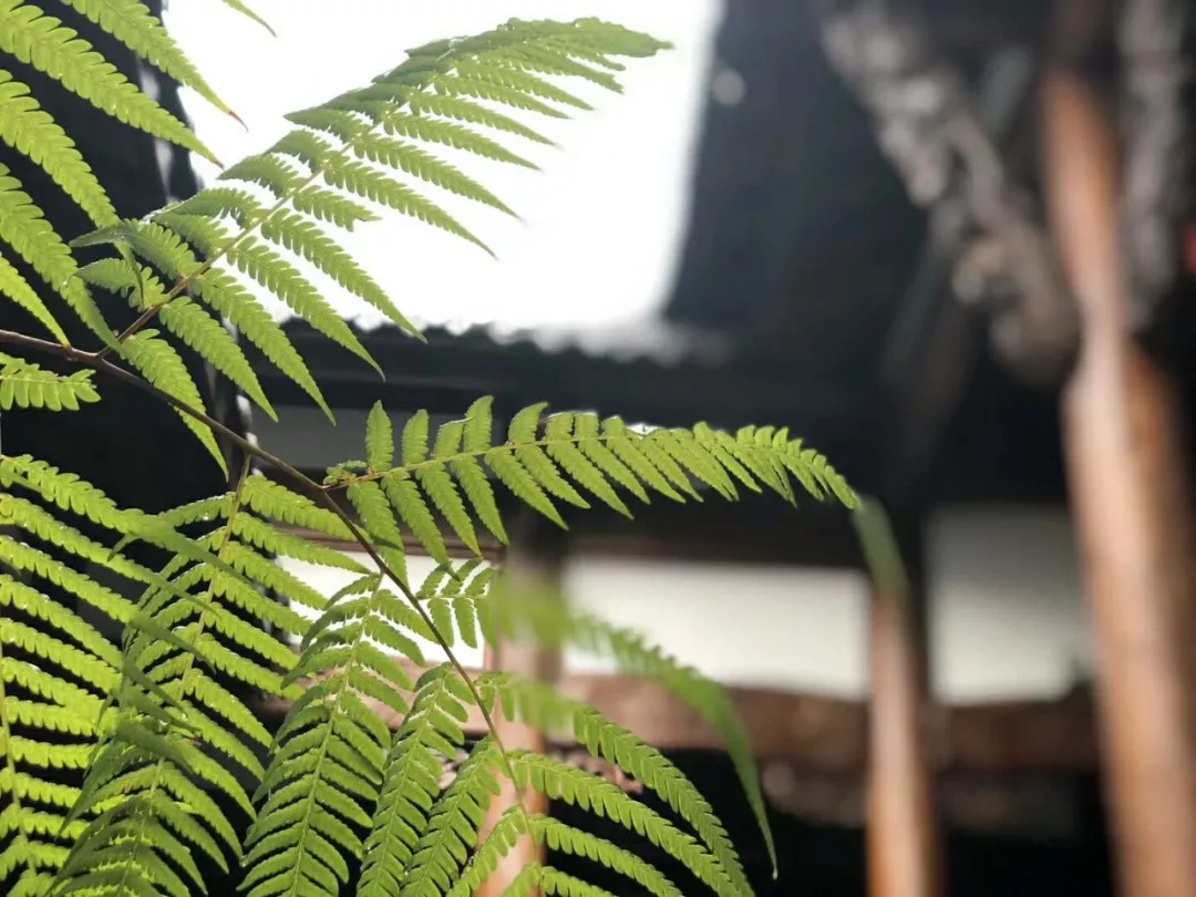 教育的经典对联大全集锦,最好的家教都写在这25副对联里