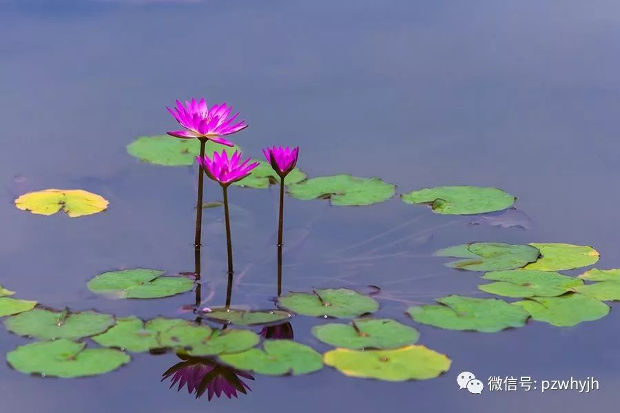 浅唱低吟歌曲完整版,浅唱低吟国语歌曲