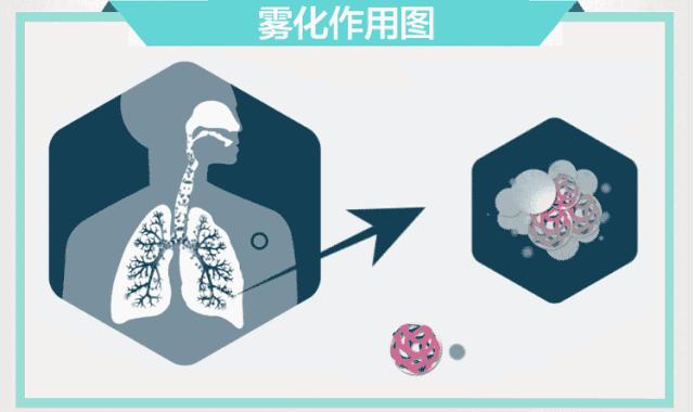 雾化药含激素吗,雾化药会有依赖性吗