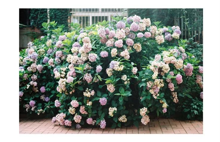 秋冬青岛拍照打卡地,青岛拍照攻略