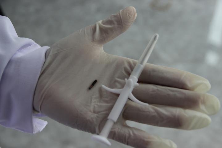 杭州狗狗办狗证必须植入芯片吗,杭州办犬证必须要植入芯片吗