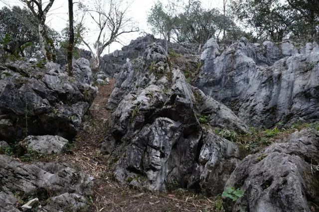 宁化客家祖地旅行社,宁化旅行社