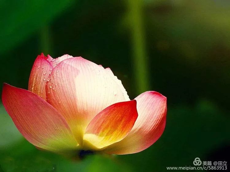 「荐读」名贤集值得一读