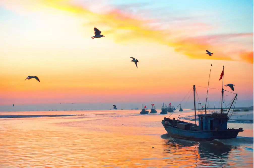 收藏沧州最新最全旅游攻略来啦,沧州华东五市旅游攻略