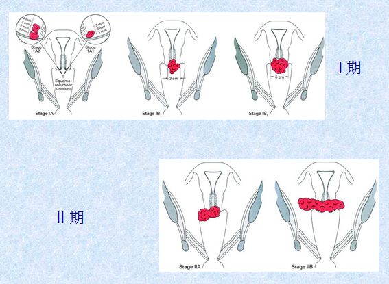 女士，对不起我错了，我不该那样！