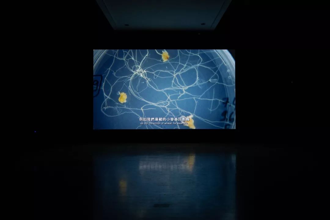 2023凤凰双年展,凤凰艺术展台北