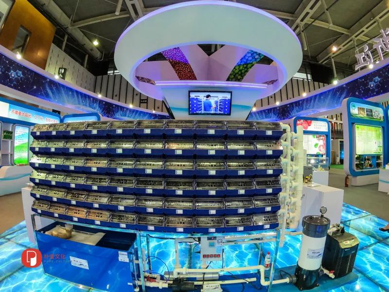 「文明旅游」未来农业应该是啥样？｜快来看全国新农民新技术创业创新博览会