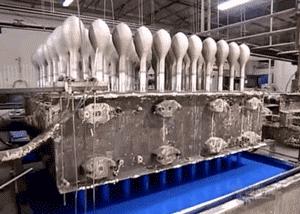 这些图一直看一直爽！原来平凡生活中藏着这么多奇迹……