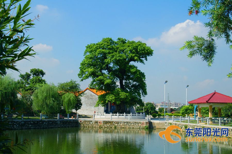 东莞三甲工业区规划,东莞正在开发好的工业区