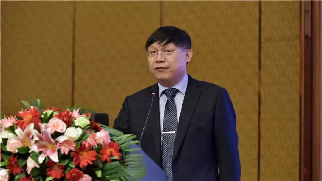 中国妇幼健康高峰论坛,2019中国健康高峰论坛