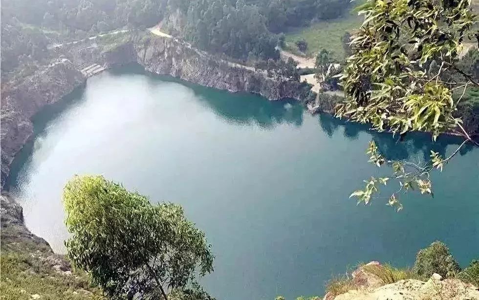 「信息速递」请为他们打Call!超2000人徒步50公里，只为做这一件事……