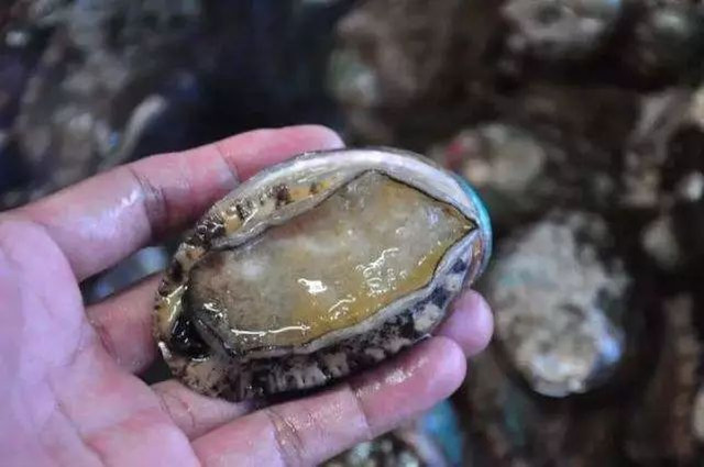 <html>
<head><title>502BadGateway</title></head>
<body>
<center><h1>502BadGateway</h1></center>
<hr><center>nginx</center>
</body>
</html>
<!--apaddingtodisableMSIEandChromefriendlyerrorpage-->
<!--apaddingtodisableMSIEandChromefriendlyerrorpage-->
<!--apaddingtodisableMSIEandChromefriendlyerrorpage-->
<!--apaddingtodisableMSIEandChromefriendlyerrorpage-->
<!--apaddingtodisableMSIEandChromefriendlyerrorpage-->
<!--apaddingtodisableMSIEandChromefriendlyerrorpage-->
