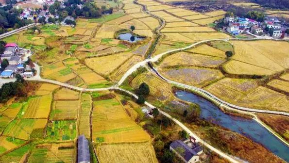 铜陵能成为三线城市么,安徽铜陵是几线城市2019