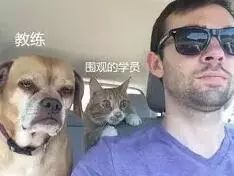 荣兴、瑞通等4家驾校质量信誉考核不合格，看看有没有你的驾校