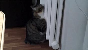 暖气放气放到什么程度是没有气了,暖气里全是气没有水