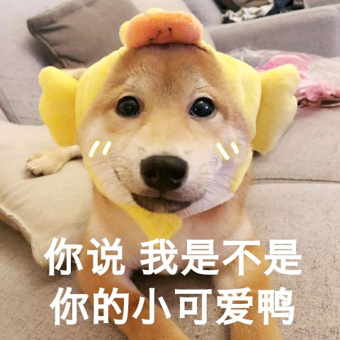 天涯印象创作的原声,天涯印象的主页