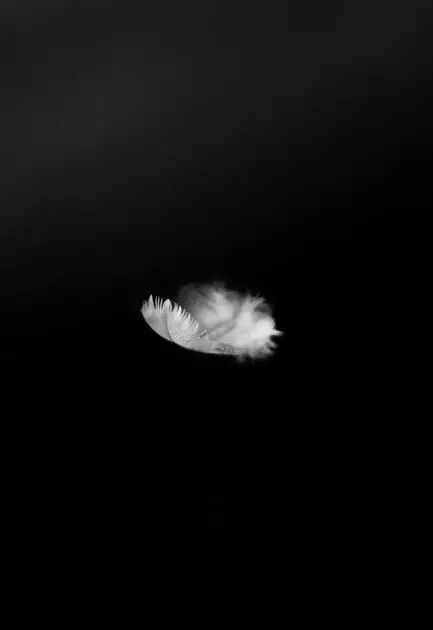 太宰治为什么觉得生而为人很抱歉,太宰治哪怕丧到极致也热爱着世界