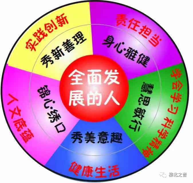 探索教育的未来之路,探索教育之路