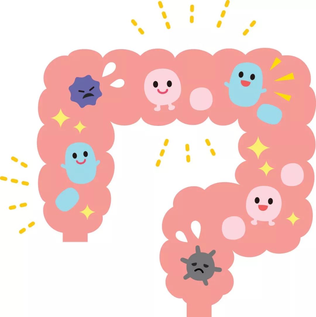 宝宝肠道菌群怎么来的,宝宝肠道菌群紊乱的后果