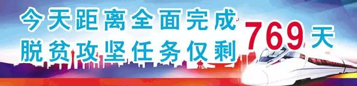 陇南：从“提篮小卖”到“网销全球”