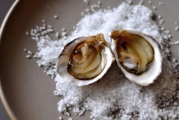 蚝情万丈,蚝情万丈图片