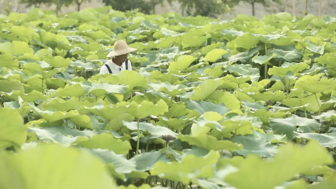 了解下，这家挖煤的中兴公司，是中国民族工业的另一个骄傲！