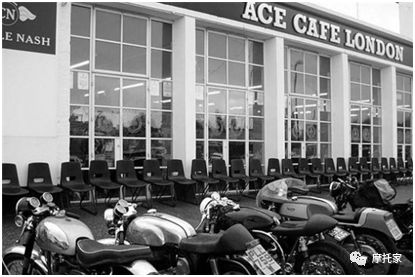 毒物经典电影,毒物潮品推荐