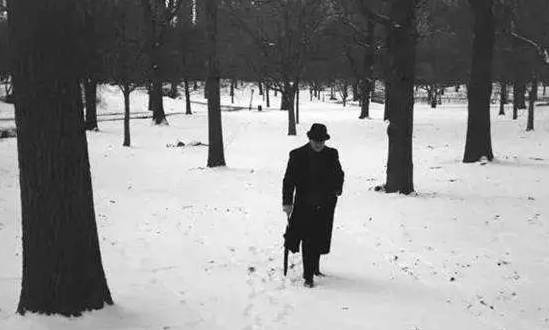 木心经典语录冷冷清清的风风火火,木心曾经说过风风火火冷冷清清