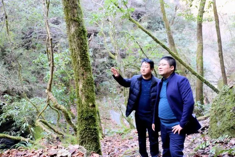 苏陕扶贫协作工作,2022年苏陕扶贫协作项目