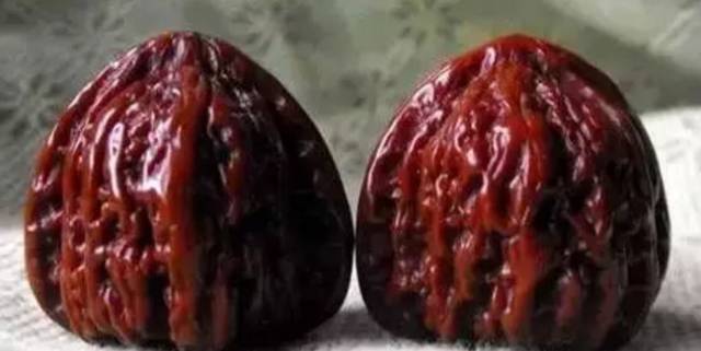 北方人会猫冬,东北什么时候开始猫冬