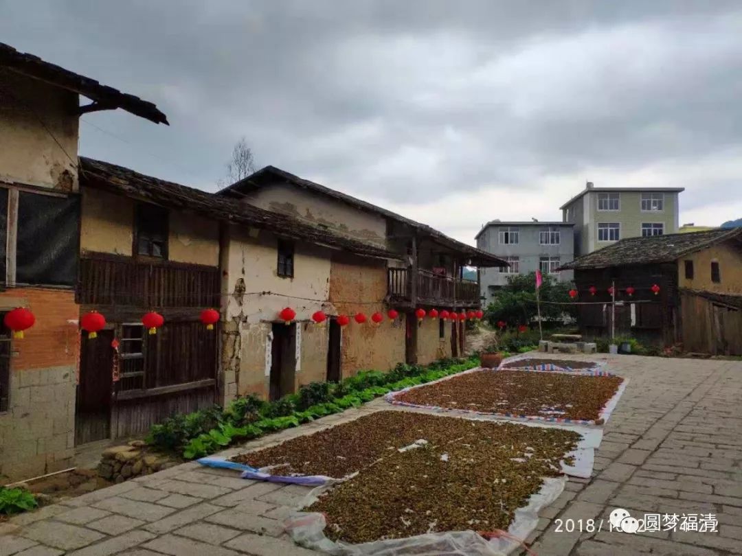 看一眼就忘不掉电影,看一眼一辈子都忘不掉的视频