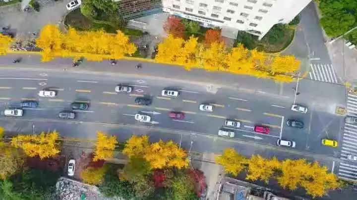 满城尽带黄金甲取景地图片,满城尽带黄金甲震撼场景