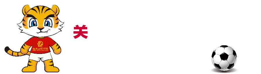 中国u14队,中国u14足球队踢日本