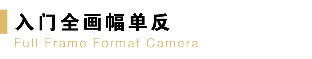 什么品牌相机最好尼康佳能,目前买尼康相机什么型号最好