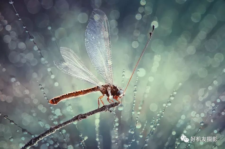 摄影技巧不看镜头看别处,拍照时如何提高锐度