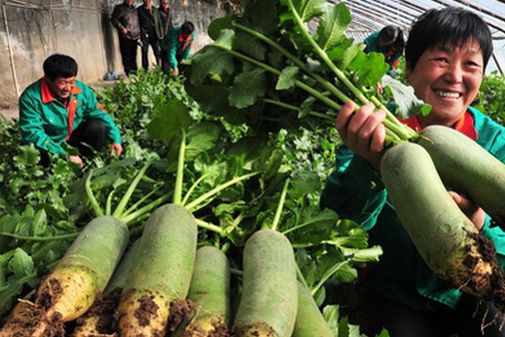 天津改革开放四十年变化微视频,天津武清区40年变化照片